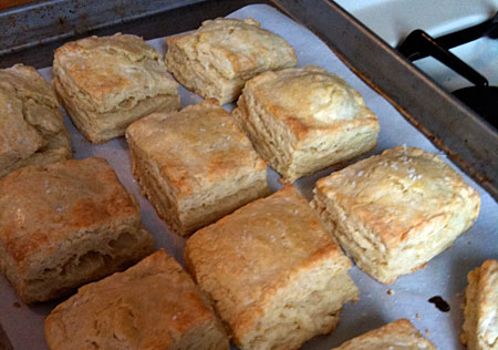 biscuits-2010-02-28-1