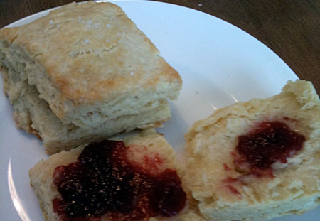 biscuits-2010-02-28-2